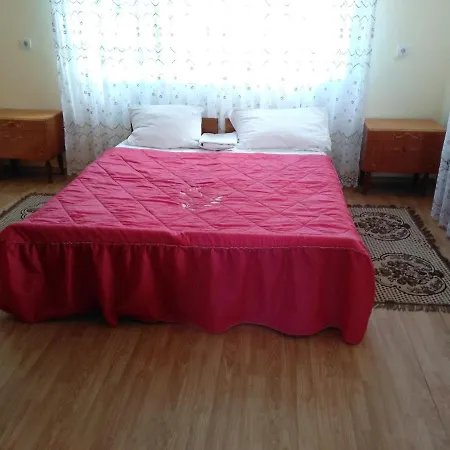 ゲストハウス Дім В Солотвино ソロトヴィノ
