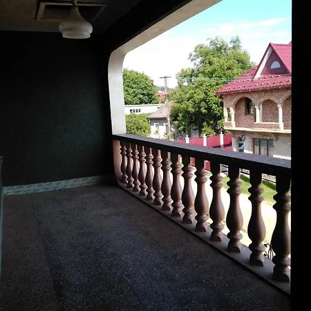 Дім В Солотвино Maison d'hôtes Solotvyno