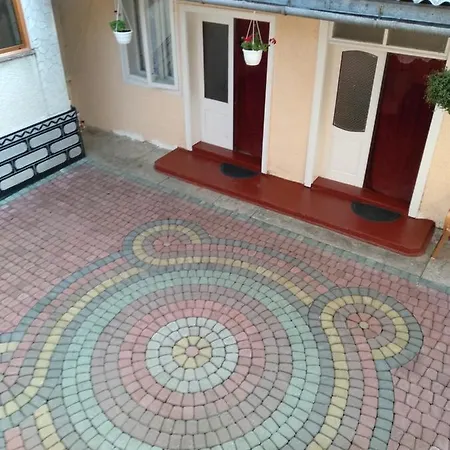 Maison d'hôtes Дім В Солотвино