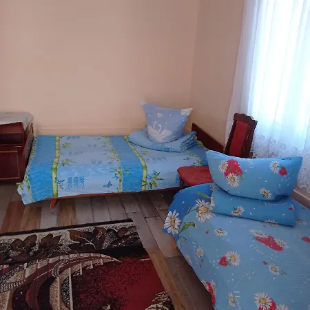 Дім В Солотвино